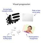 The Play Gym, 5-Stage Baby Developmental for Full Year of Play