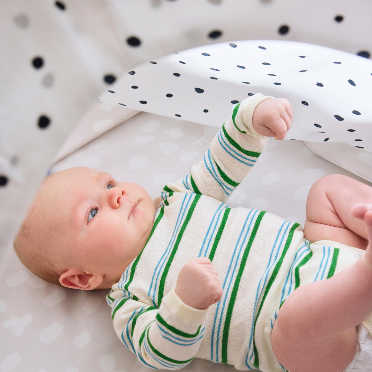 The Play Gym, 5-Stage Baby Developmental for Full Year of Play