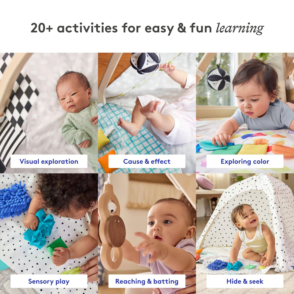 The Play Gym, 5-Stage Baby Developmental for Full Year of Play
